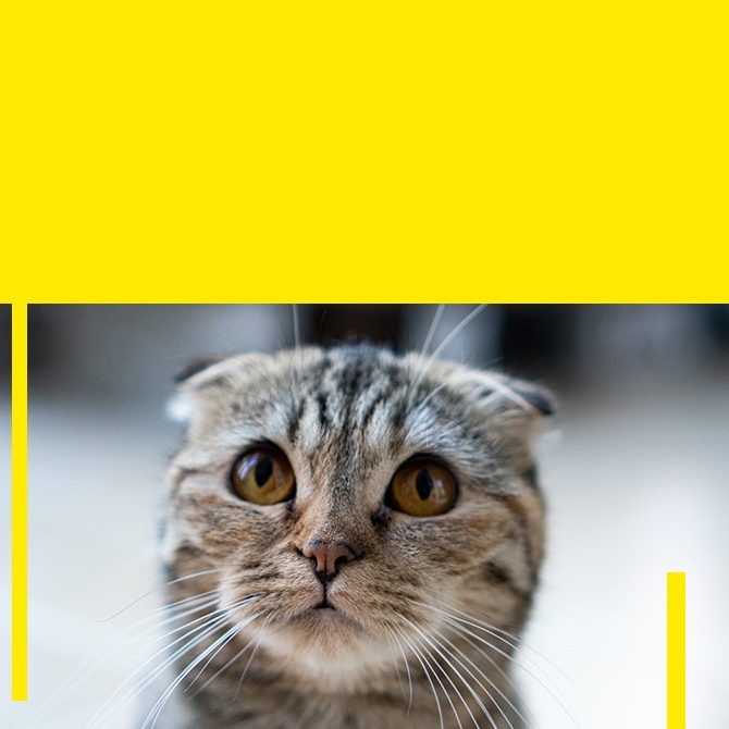 The FabLab will close at 3:00 PM on Saturday, March 21st